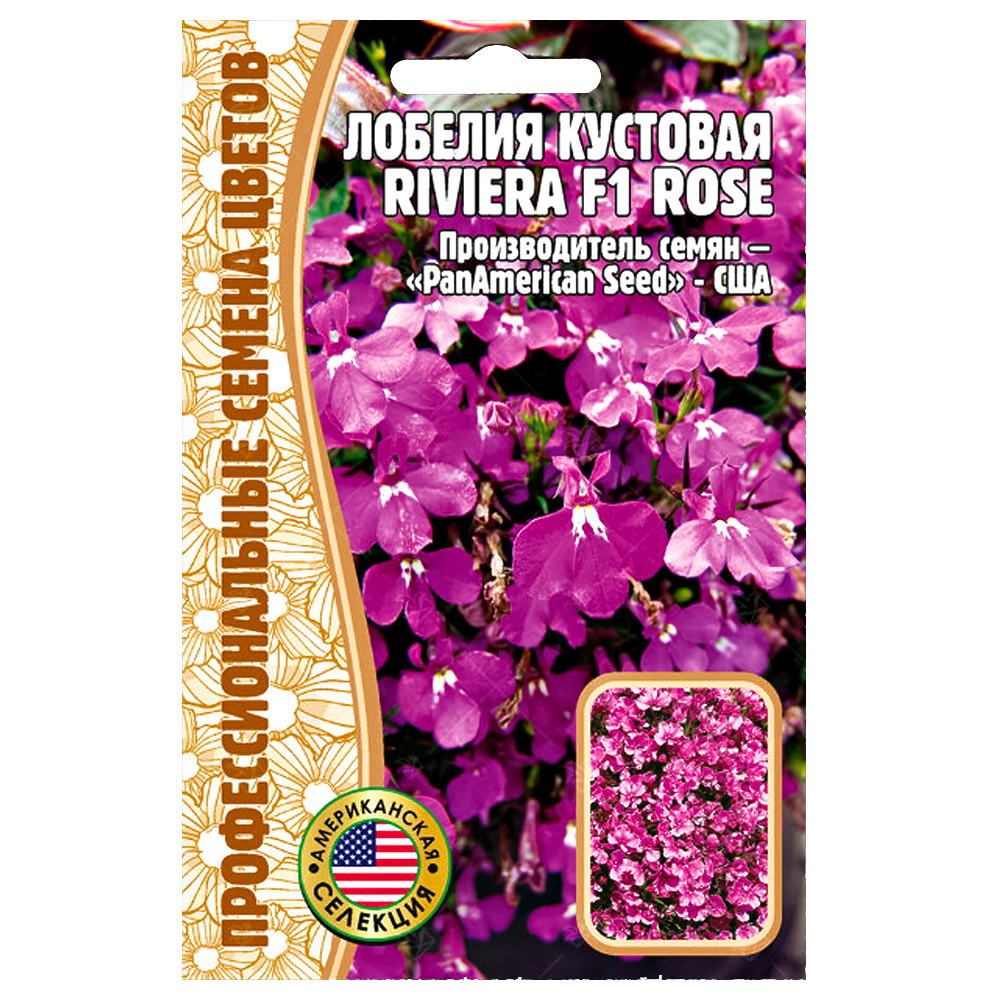     Riviera Rose F1     -     , -,   