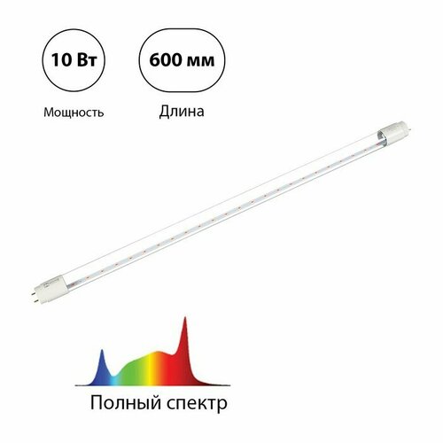    , 10 , 600 ,  G13,  , LED-T8-FITO, IN HOME  -     , -,   