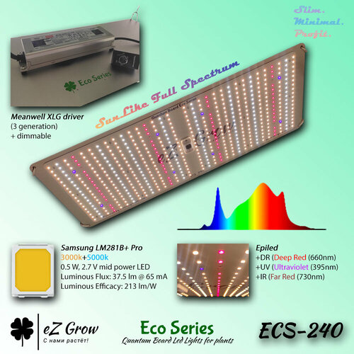   Quantum Board EZG ECS-240 -     (240)  -     , -,   