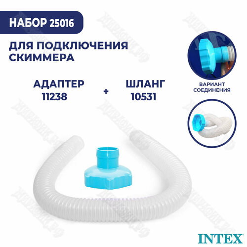       Intex 25016  -     , -,   