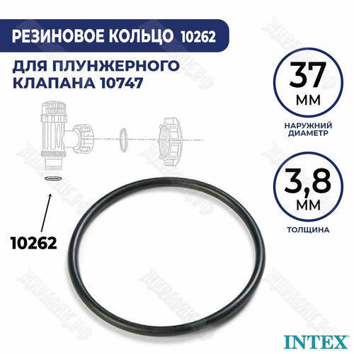     Intex 10262  .    38  -     , -,   