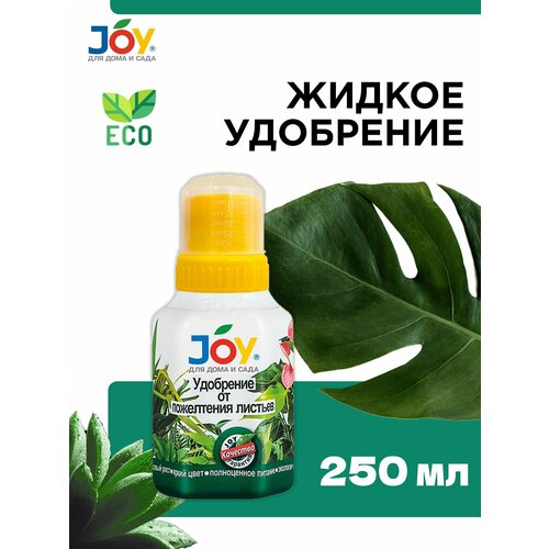      JOY   , 250  -     , -,   