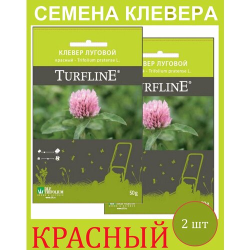          Trifolium Protense L TURFLINE DLF 0.1  (0,05 . - 2 )  -     , -,   