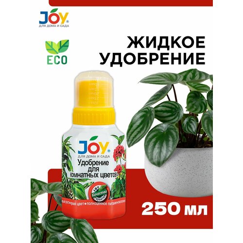         JOY, 250  -     , -,   