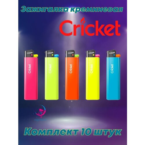      Cricket Fluo  10   -     , -,   