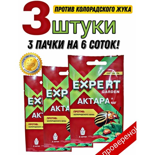      Expert 3  -     , -,   