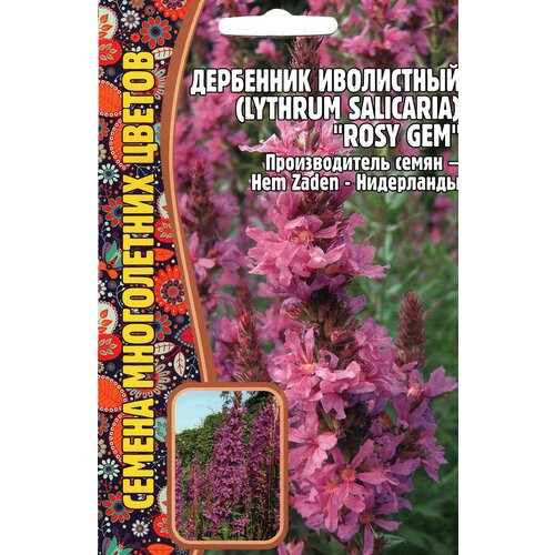    / Lythrum salicaria ROSY GEM,  ( 1 : 0,05  )