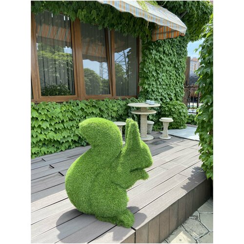      , Topiary Frame,    -     , -,   