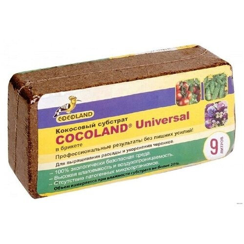    Cocoland Universal // 9 .  -     , -,   