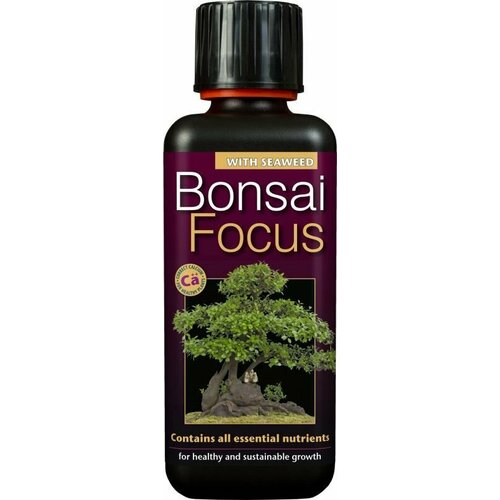    Bonsai Focus c       Growth Technology  300  -     , -,   