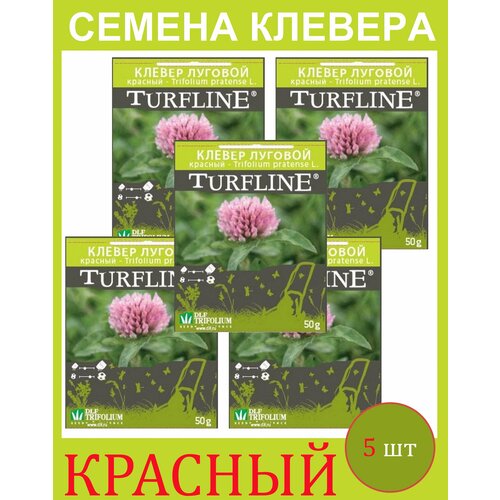          Trifolium Protense L TURFLINE DLF 0.25  (0,05 . - 5 .)  -     , -,   