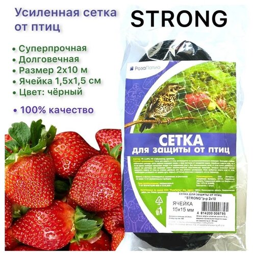      STRONG  , 10   2 ,   -     , -,   