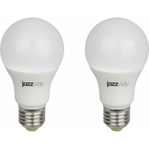           JazzWay PPG Agro Frost 9W E27  (  2 )  -     , -,   