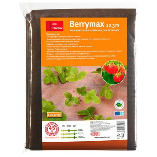       Berrymax 13  -     , -,   