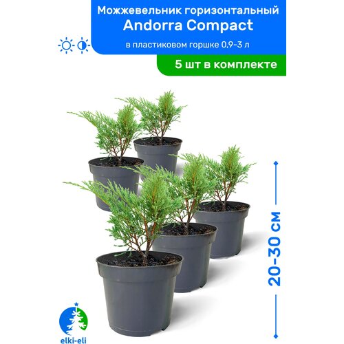    Andorra Compact ( ) 20-30     0,9-3 , ,   ,   5 