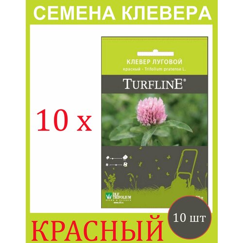          Trifolium Protense L TURFLINE DLF 500  (50 . - 10 )  -     , -,   