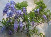 ღია ლურჯი შიდა მცენარეები გლიცინია ყვავილების (Wisteria) ფოტო