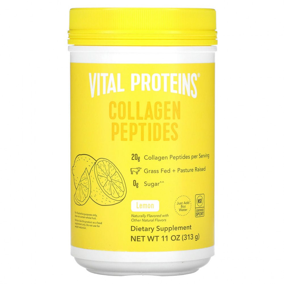   Vital Proteins,  , , 313  (11 )   -     , -  