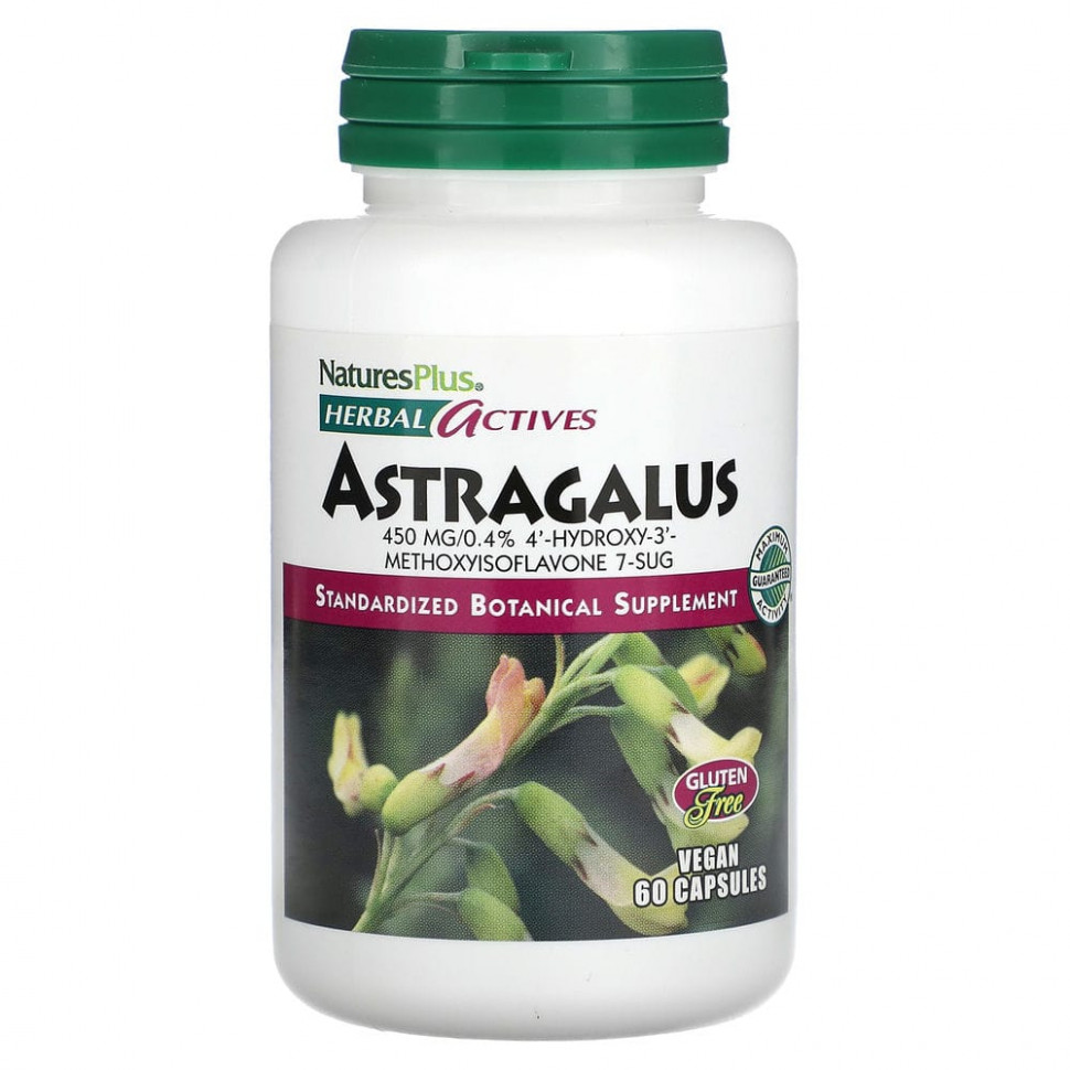   NaturesPlus, Herbal Actives, , 450 , 60     -     , -  