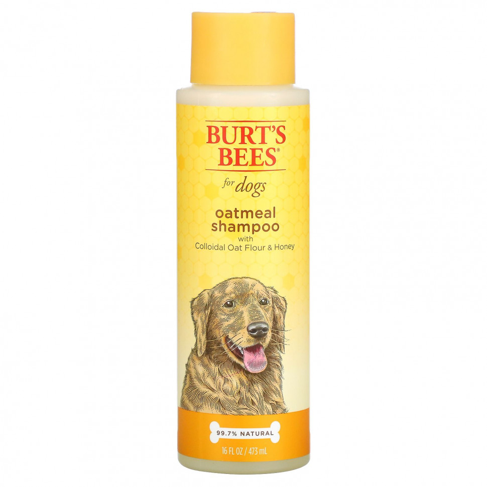   Burt's Bees, Oatmeal Shampoo for Dogs, Colloidal Oat Flour & Honey, 16 fl oz (473 ml)   -     , -  