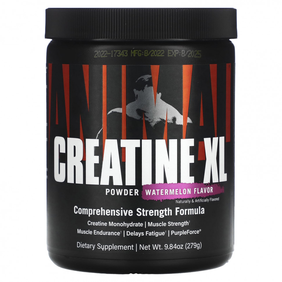   Animal, Creatine XL  , , 278  (9,84 )   -     , -  