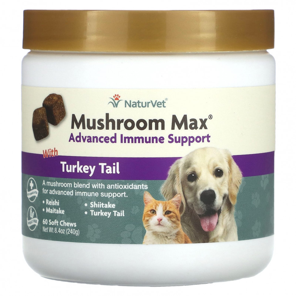  NaturVet, Mushroom Max,      ,    , 60  , 240  (8,4 )  IHerb ()