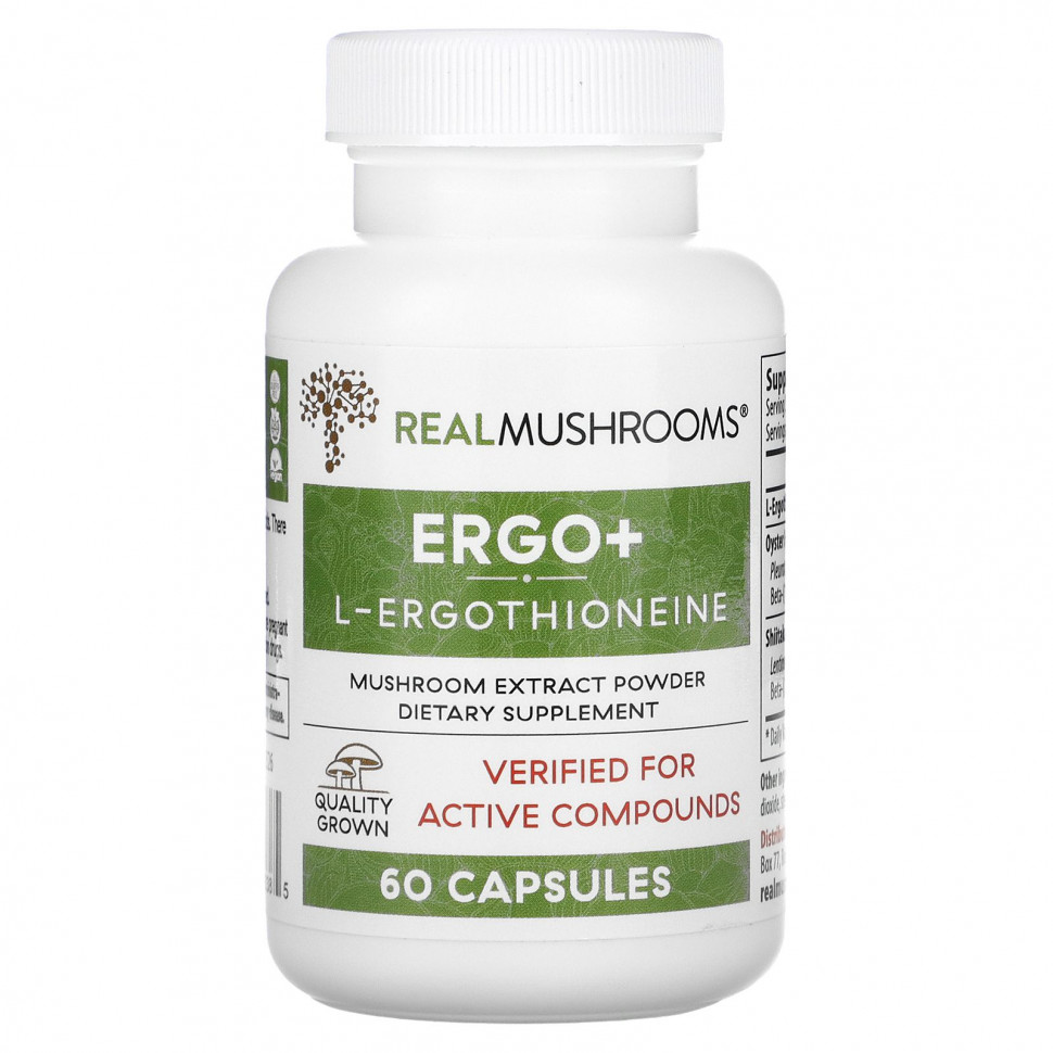  Real Mushrooms, ERGO + L-`` 60   IHerb ()