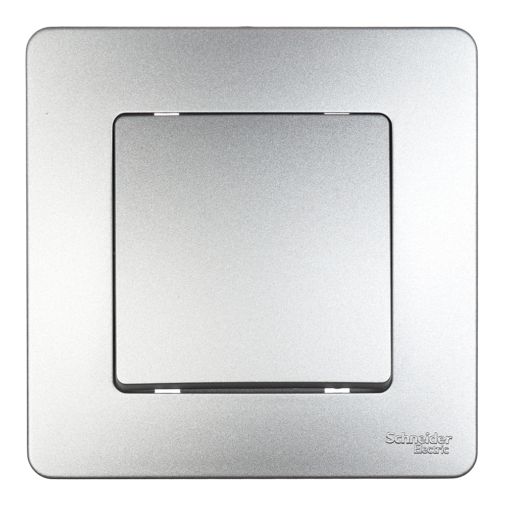 ���� ������������� Systeme Electric Blanca ������������ �������� (BLNVS010603)  