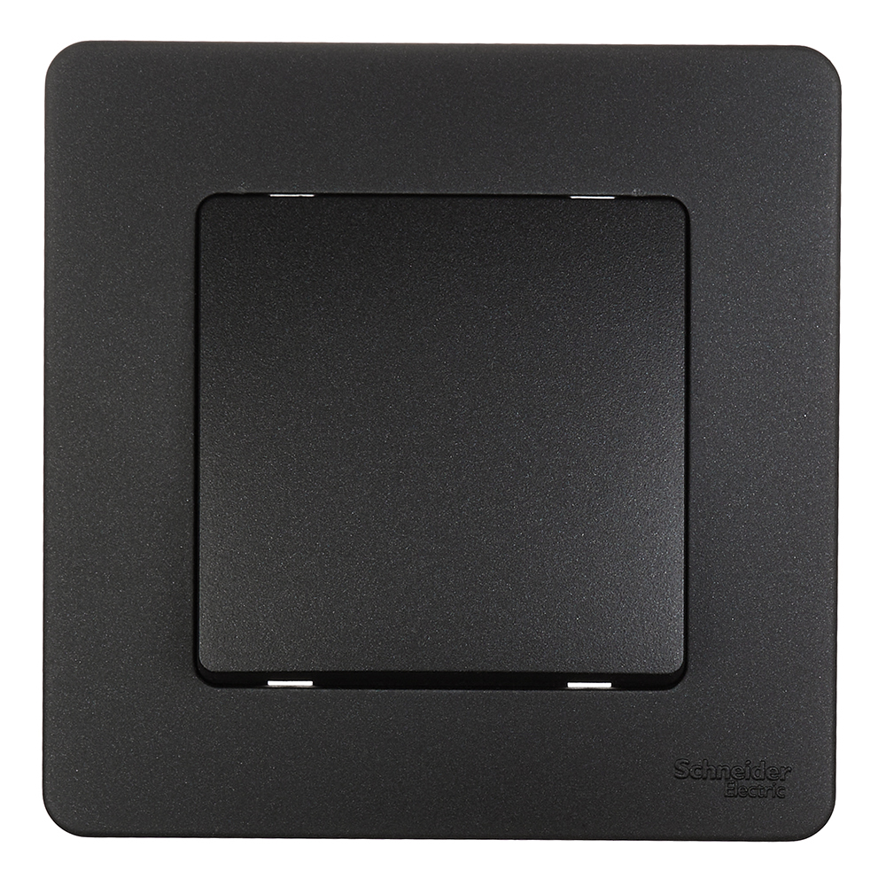 ���� ������������� Systeme Electric Blanca ������������ �������� (BLNVS010606)  