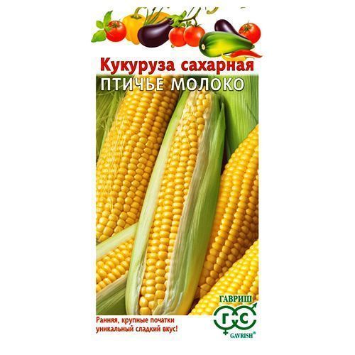 ���� �������� ������ ������ F1 ������  