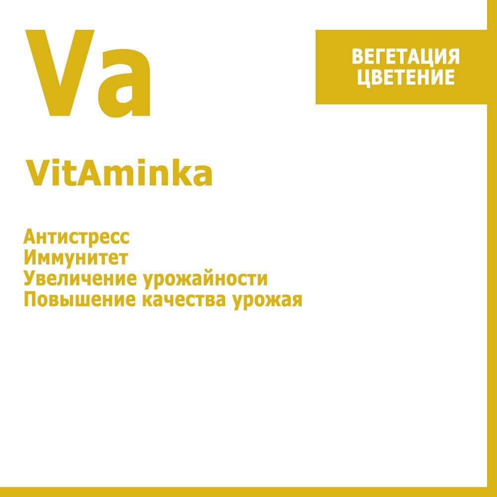   VitAminka, -  10    -     , -  