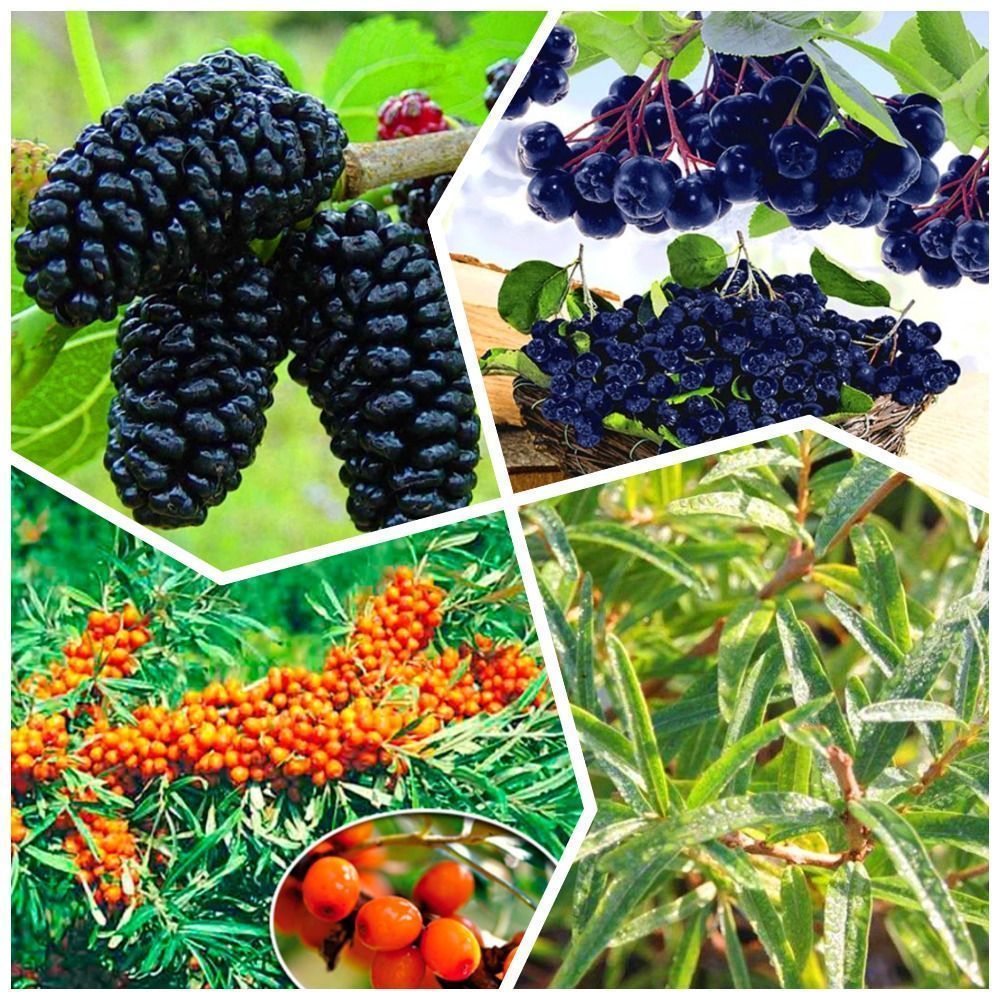 ���� �����������! �������� �������� ������� ������� 