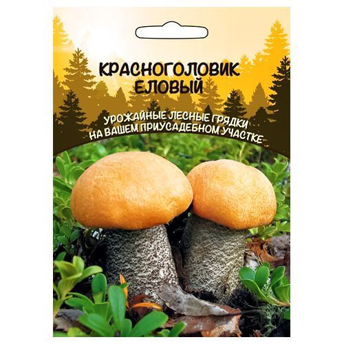 ���� ������������� (�����������) ������ ��������� ������  