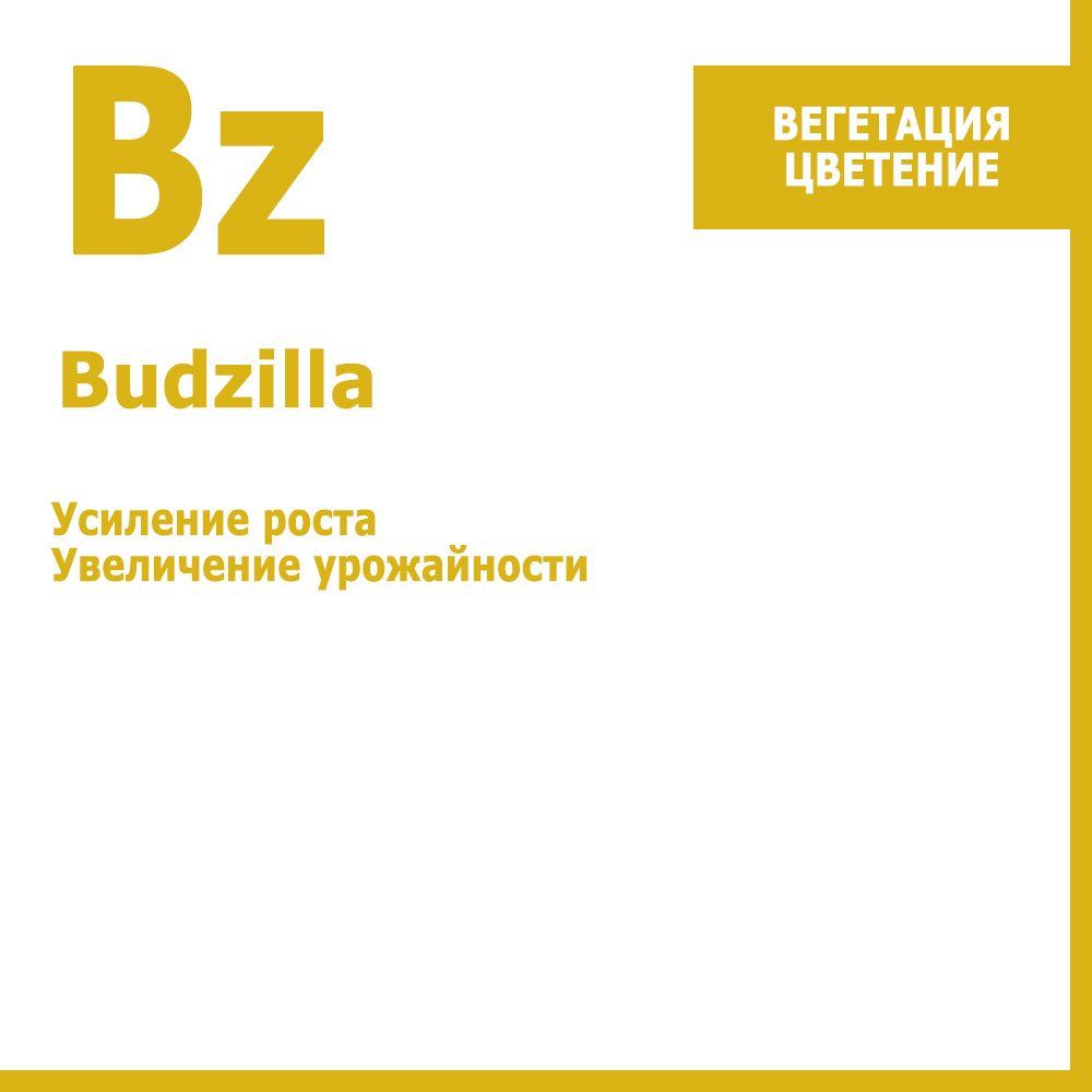   Budzilla,    250    -     , -  