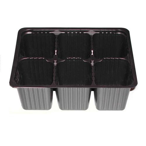 ���� ���� ������� ��� ������� 6 �����  