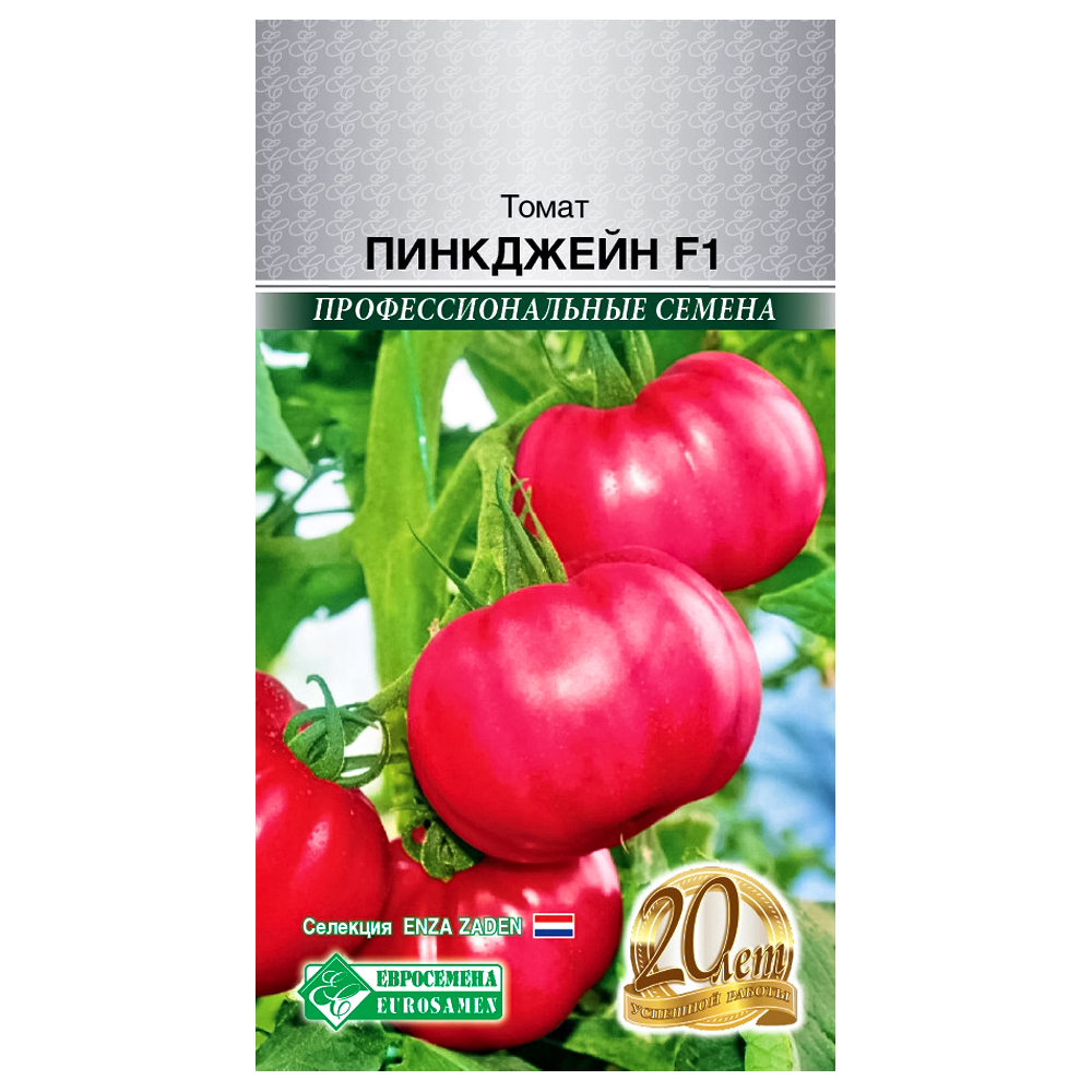 ���� ����� ��������� F1 ����������  