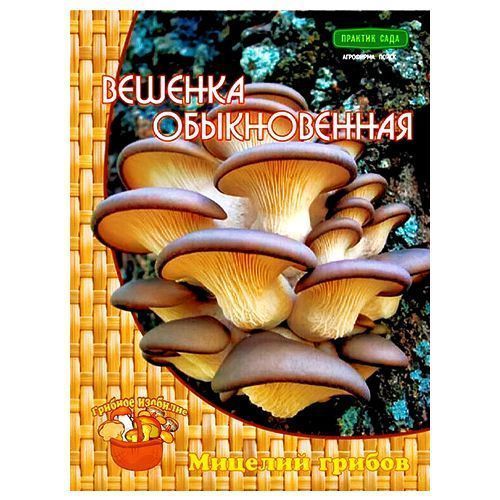 ���� ������� ������������ �����  