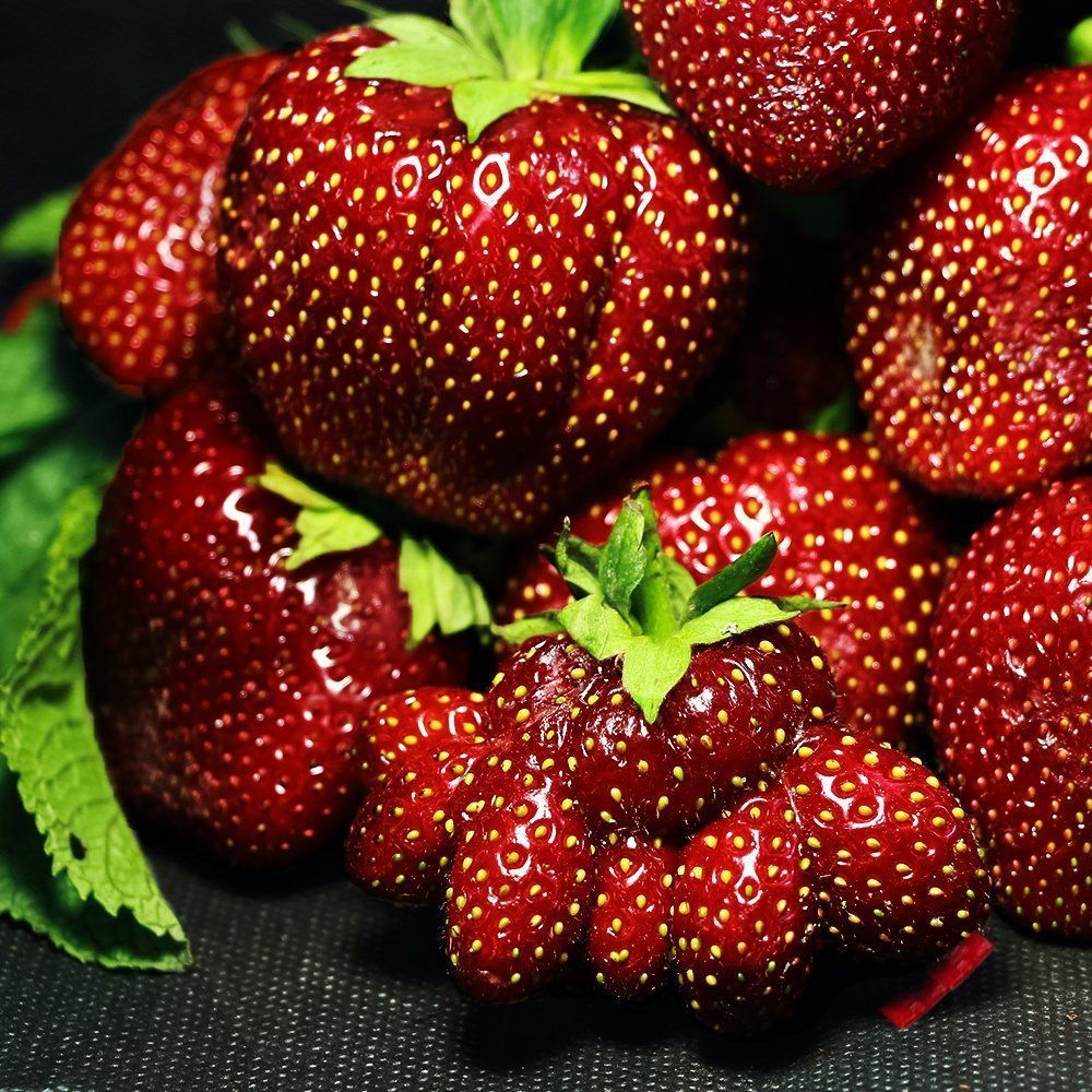 ���� ��������� ������������� ���� ���� (������ ������)  