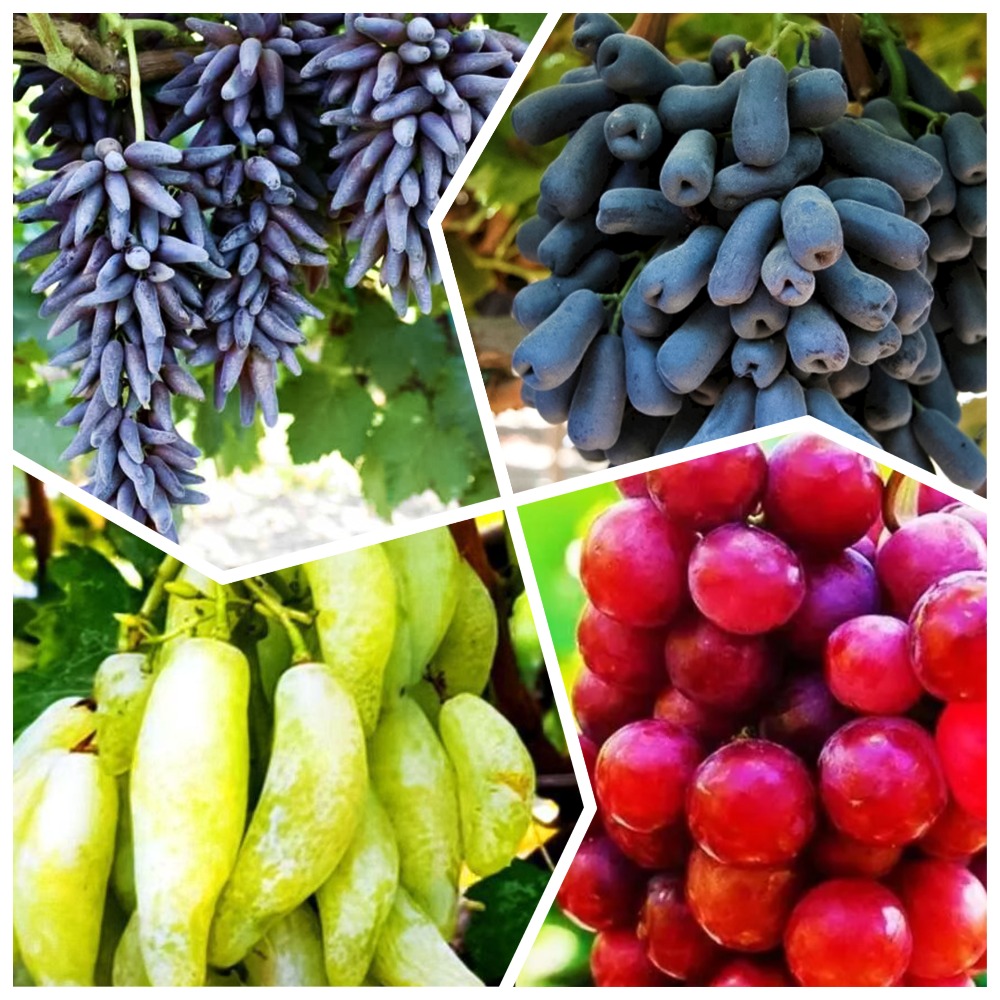 ���� �����������! �������� ������������� ��������� 