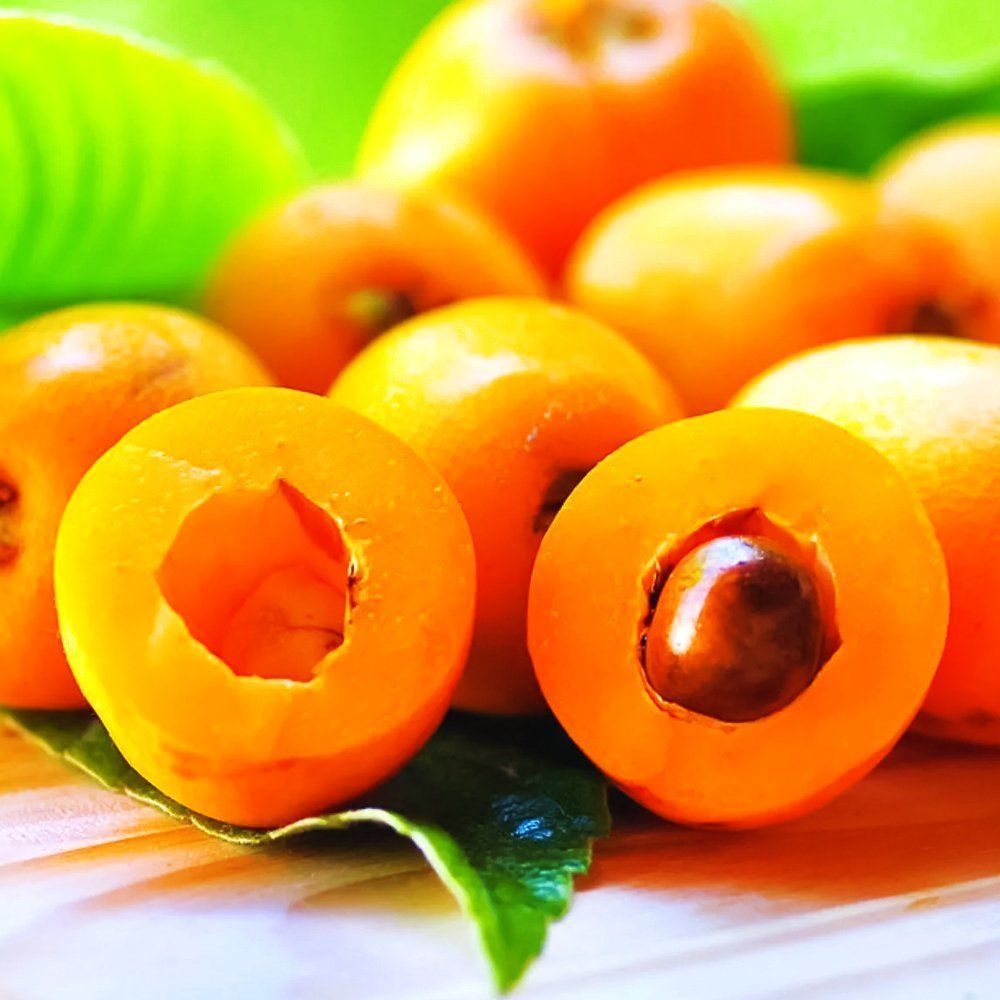 ���� ������� ��� ������� ������ �������  