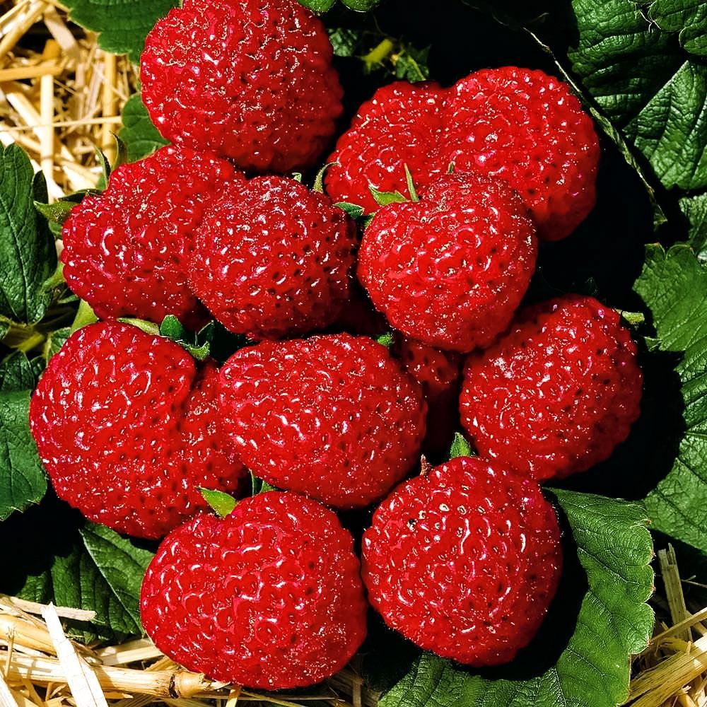 ���� ��������� ������������� (������ � �������) ���������� 7  