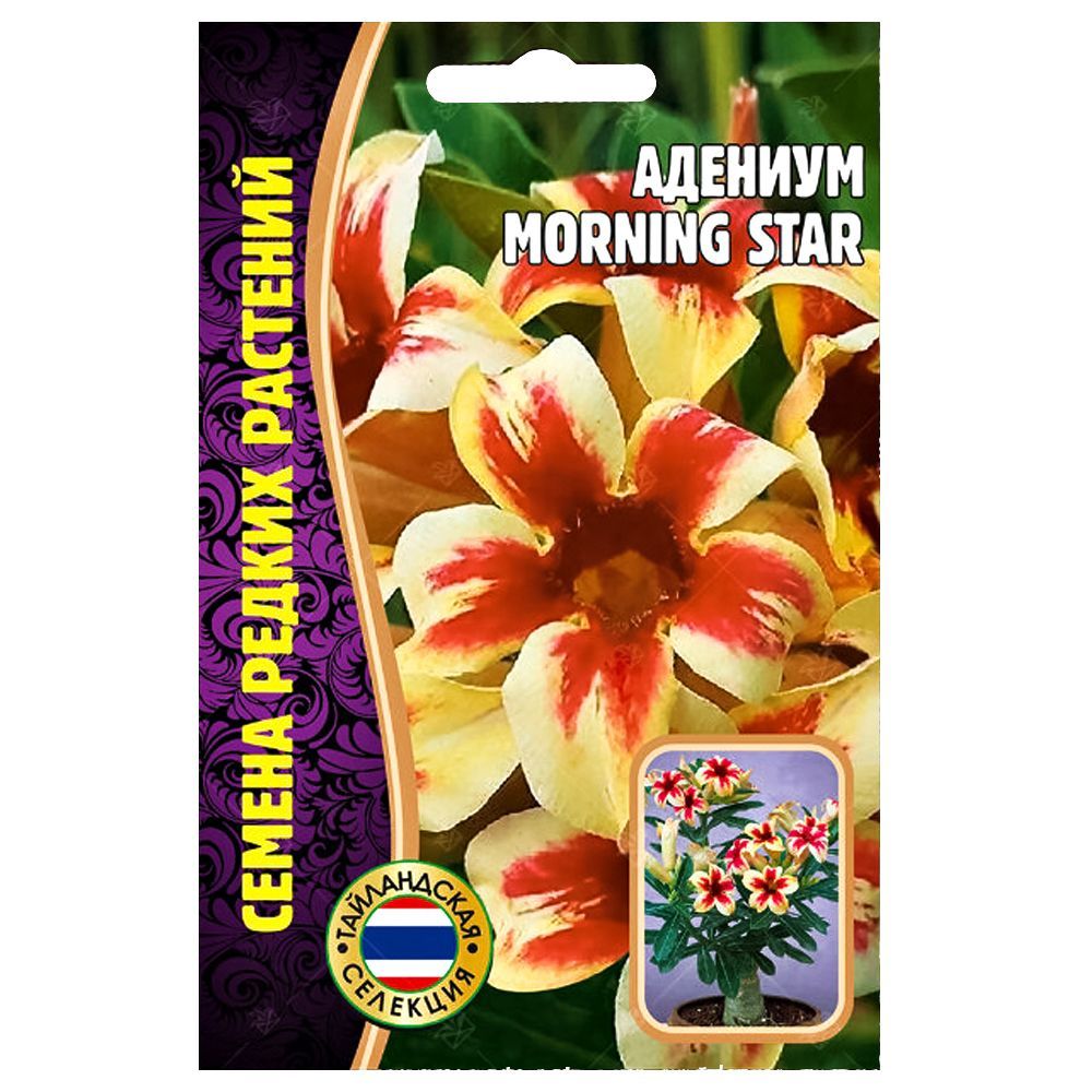    Morning Star     -     , -  