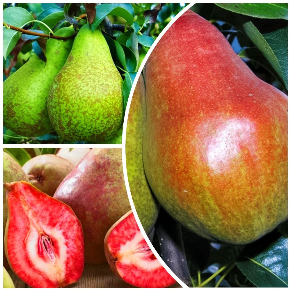 ���� �����������! �������� ���� 