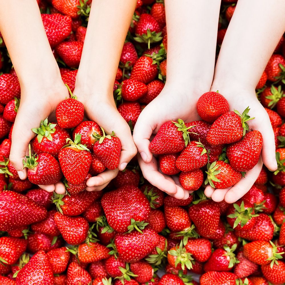 ���� ��������� ������������� ������������ ����������  