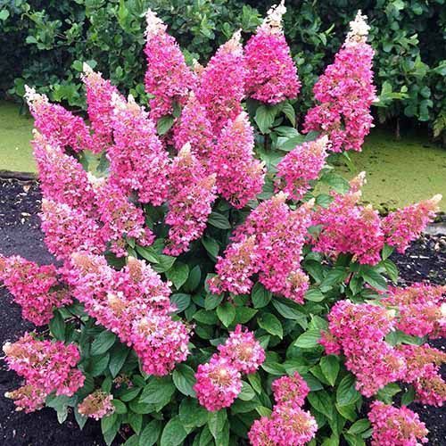 ���� ��������� ����������� ����� �����  