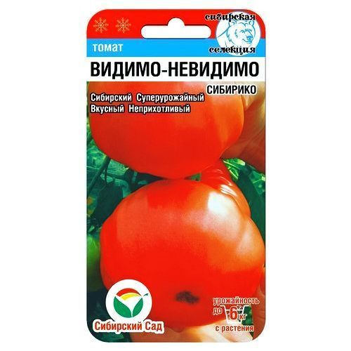 ���� ����� ������-�������� ��������� ���  