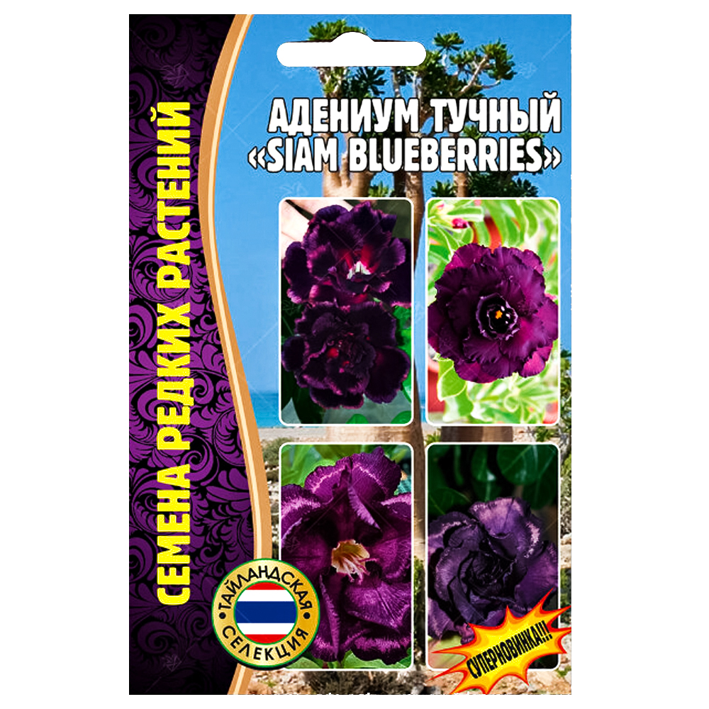   Siam Blueberries    