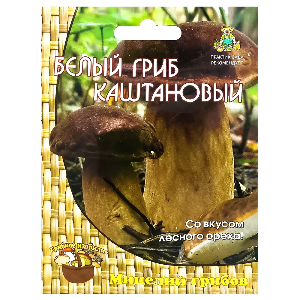 ���� ����� ���� ���������� �����  