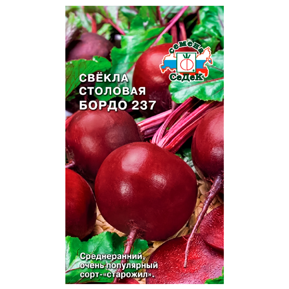 ���� ������ ����� 237 �����  