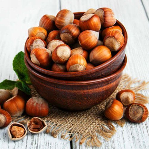 ���� ������ ���������  